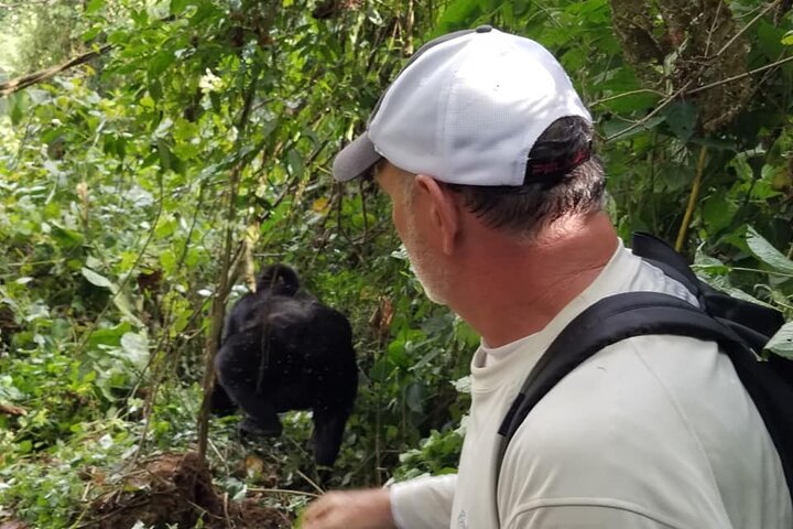 9 Days Uganda Rwanda