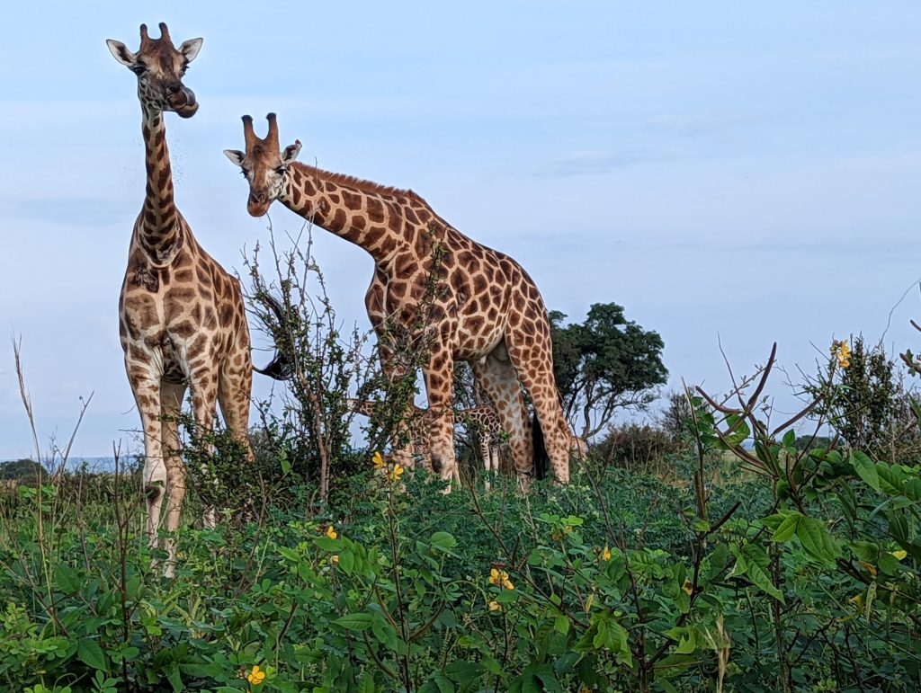 Things to Do on a Kenya expedition