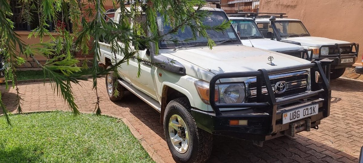 Cross-Border Car Rentals