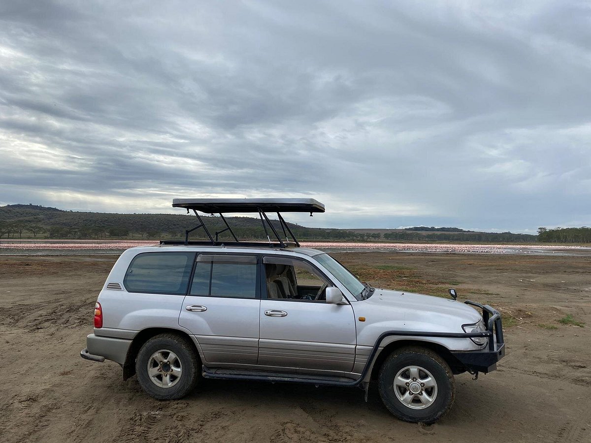 Step-by-Step Guide: Renting a Car for Safari Travel Across East Africa