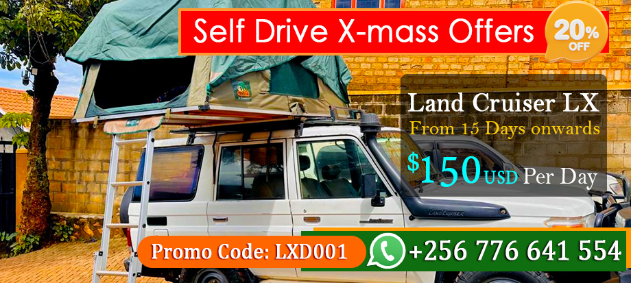 lx-offer-east-africa