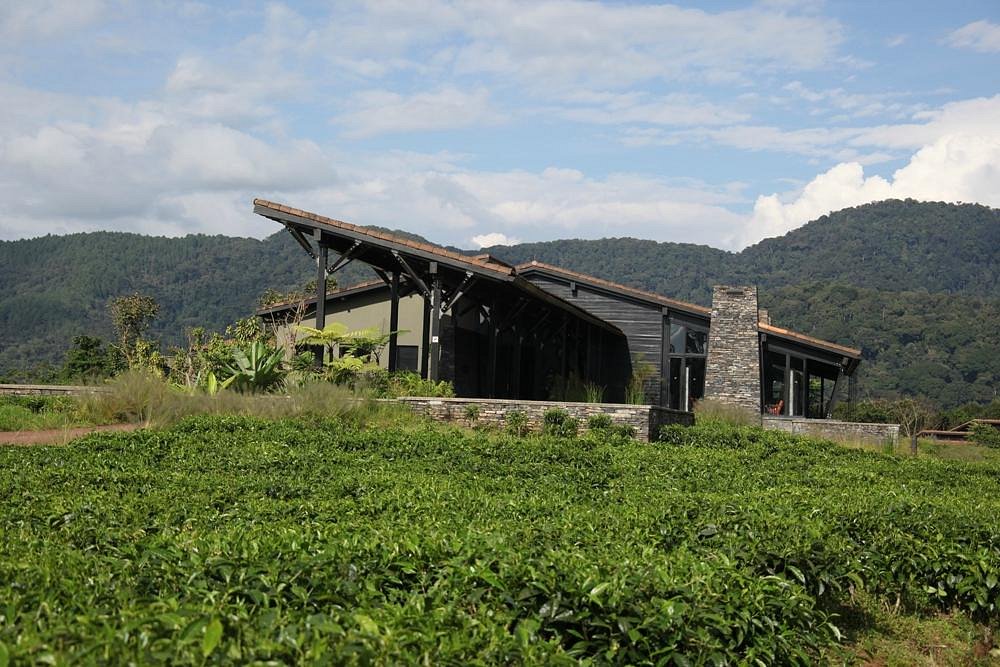nyungwe forest lodge