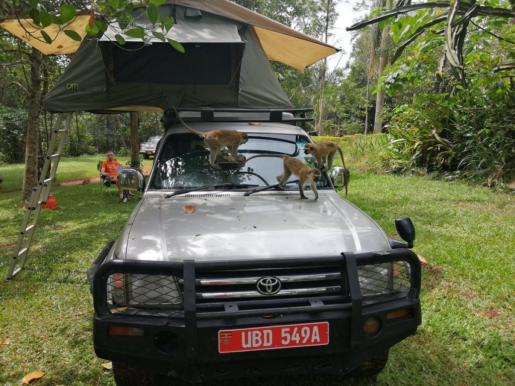 roof top tent on a prado