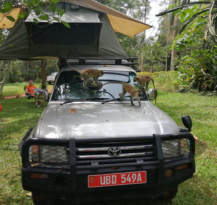 roof top tent on a prado