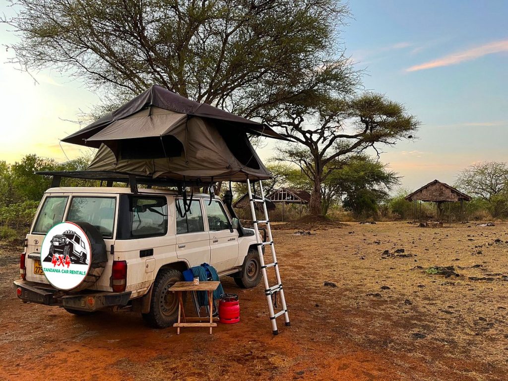 Self-Drive in Tanzania