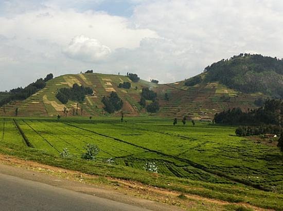 Useful Apps for Self-Drive Travel in Rwanda