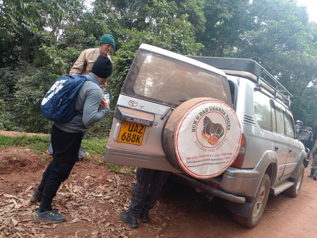 Hidden Waterfalls and Rwanda Self-Drive Hidden Waterfalls and Rwanda Self-Drive